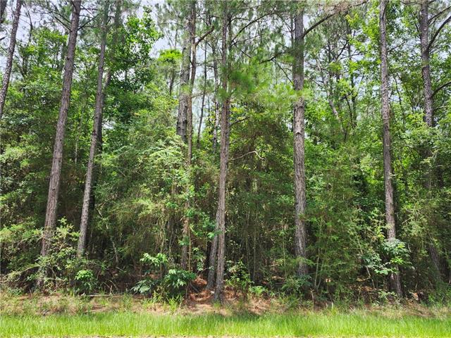36449 Jackson Road, Slidell, LA 70460