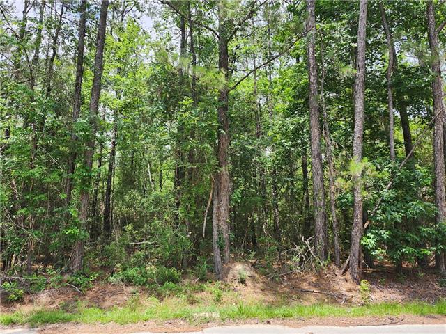 73168 Eagle Street, Abita Springs, LA 70420
