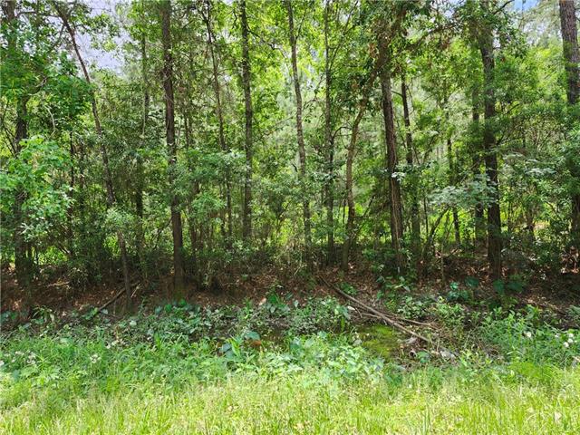 791 Buck Run, Pearl River, LA 70452